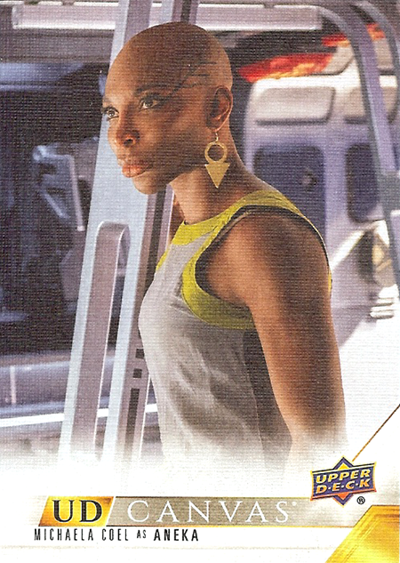 #77 - Aneka